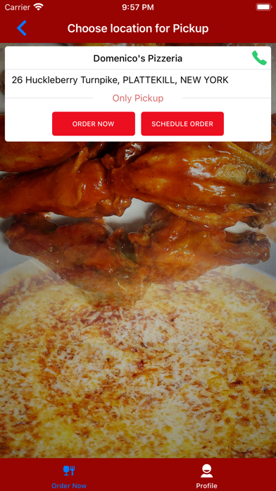 Domenico's Pizzeria Plattekill Screenshot