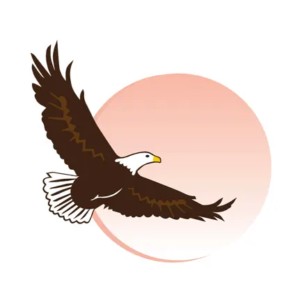 Wings to Soar Cheats