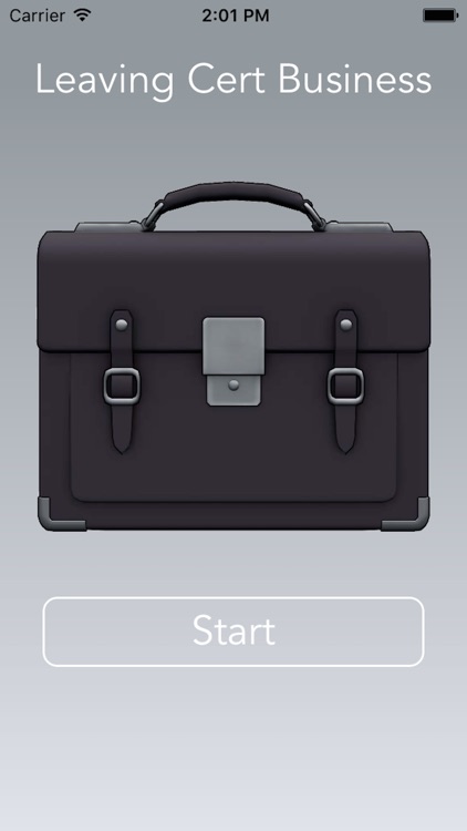 Leaving Cert Business 2025