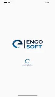 engosoft problems & solutions and troubleshooting guide - 2