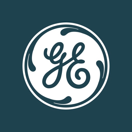 GE Digital APM