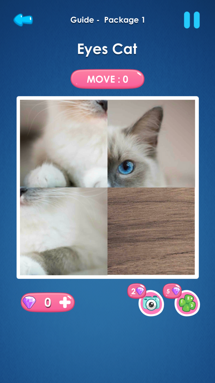 Slide Picture  Jigsaw Puzzle