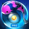 Icon Zen Koi Pro