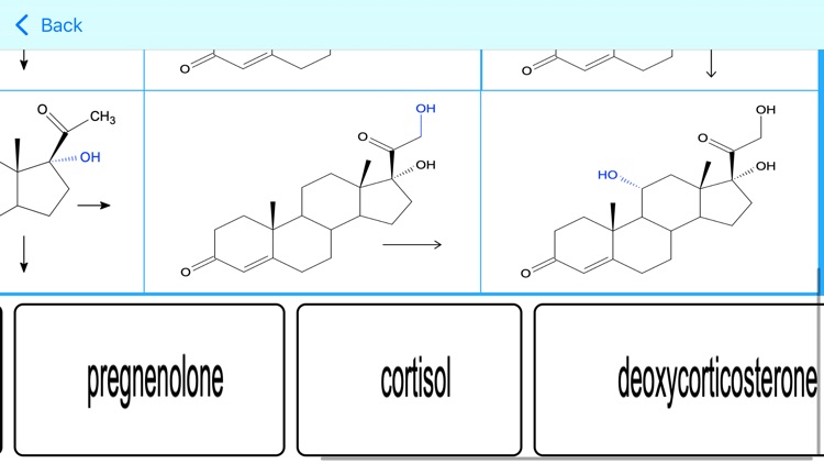 Adrenocortical Hormones Tutor screenshot-4