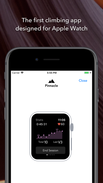 Pinnacle Climb Log screenshot1