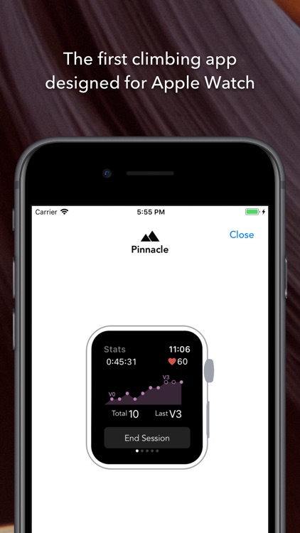 Pinnacle Climb Log