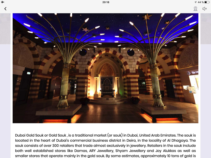 Dubai Shopping Visitor Guide