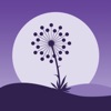 Dandelion: Antistress, Calm - iPhoneアプリ