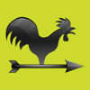 Weather Station Live - Nikola Stepan