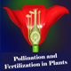 Pollination in Plants