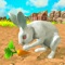 My Rabbit Bunny Simulator