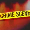 Crime Scenes Positive Reviews, comments