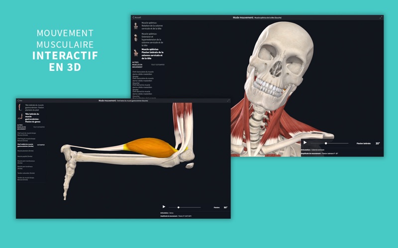 Screenshot #3 pour Complete Anatomy 24