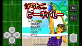 Game screenshot がちんこビーチバレー / がちんこビーチバレー2022 hack