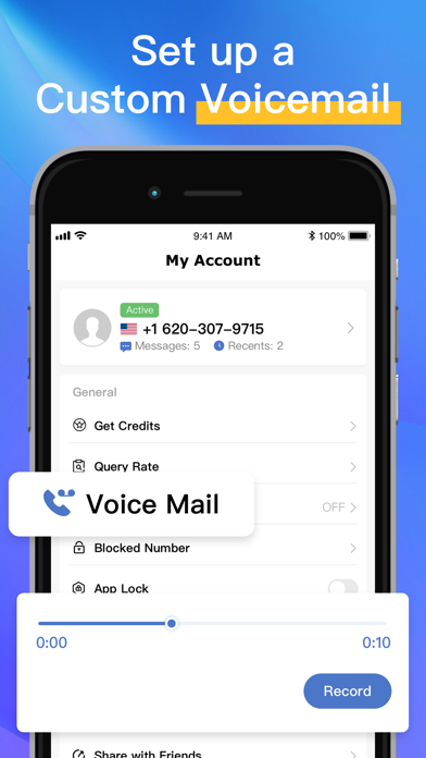 SkyCall: 2nd Number Phone Call Screenshot