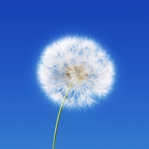 Access Consciousness - AppWisp.com