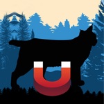 Download Bobcat Magnet - Predator Calls app