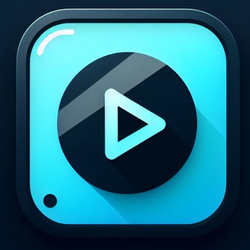 Video Player - VidInsight