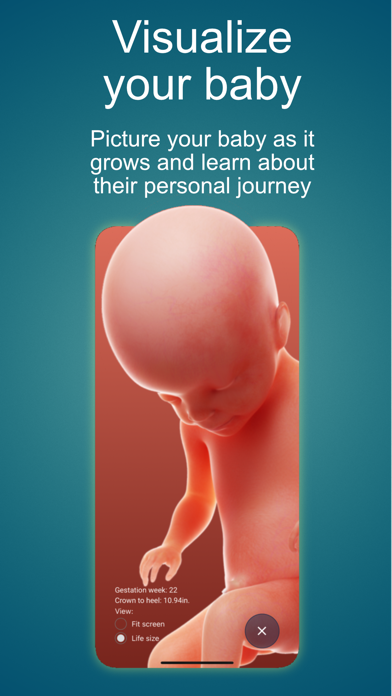 Modelo Health Pregnancy Screenshot