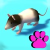 猫のおもちゃ : 猫のゲーム 3D