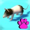 Icon Cat Toy : Games for Cats 3D