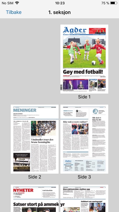 Avisen Agder eAvis Screenshot