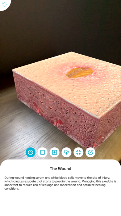 Biatain® AR App Screenshot