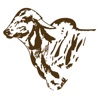 Hetha Organics icon