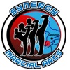 Synergy Martial Arts icon