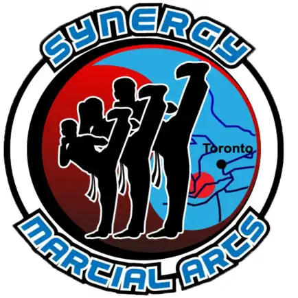 Synergy Martial Arts Читы