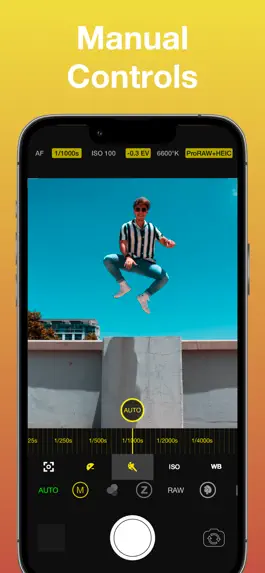 Game screenshot Vistax. Pro Camera apk