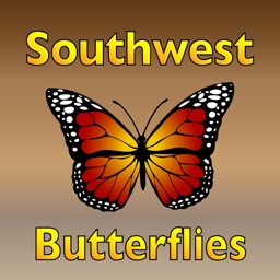 Butterflies of the Southwest