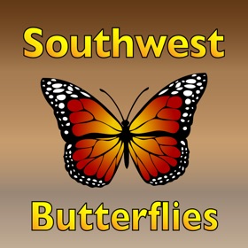 螢幕擷取畫面 (5) Butterflies of the Southwest