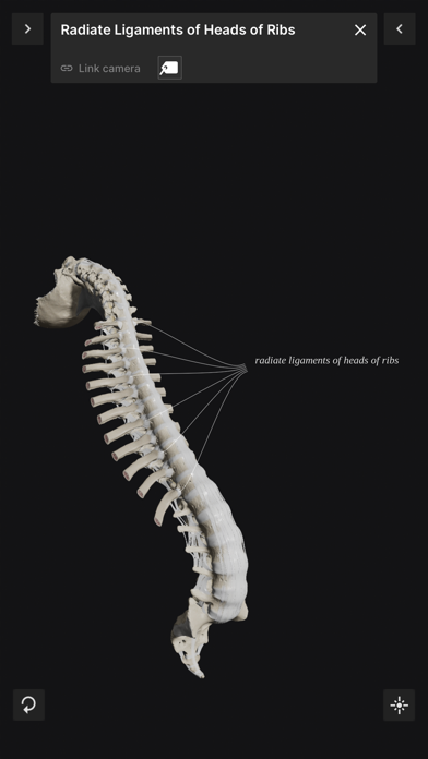 Biomechanics of the Spine Liteのおすすめ画像6