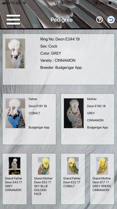 Budgerigar Screenshot