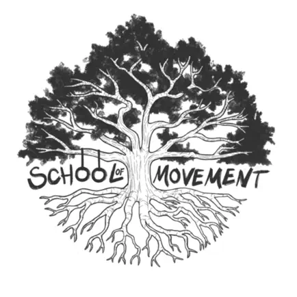School Of Movement Читы