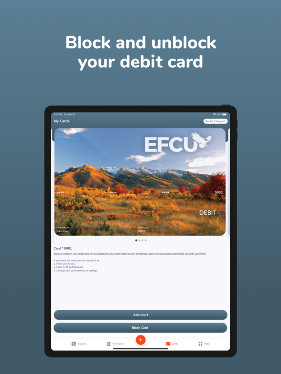 Elko FCU Mobile Banking iPad screenshot 3 - Finance app