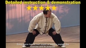 Eight Brocades Qigong Standing screenshot
