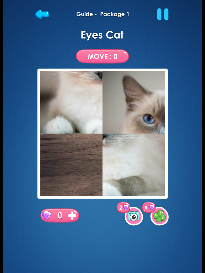 Slide Picture  Jigsaw Puzzle