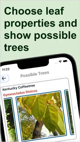 Game screenshot Forest Tree Identification apk