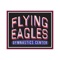 Flying Eagles Gymnastics