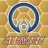 Global Service 4