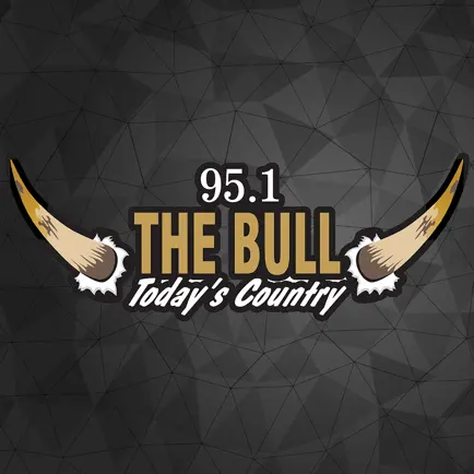 95.1 The Bull Читы