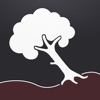 Tree Risk Assessment - Level 1 icon