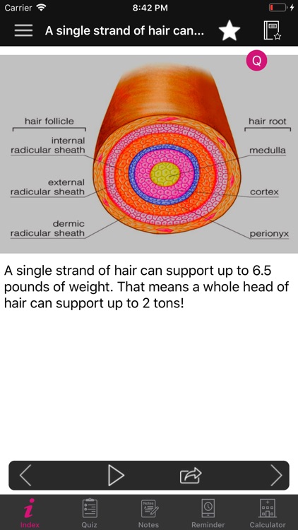 Human Anatomy Hair Facts,Quiz