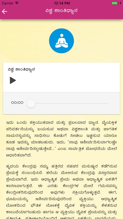 YPV Sadhana - kannada