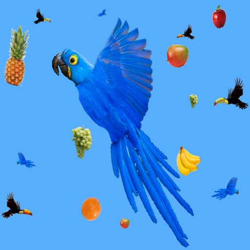 Fruity Bird