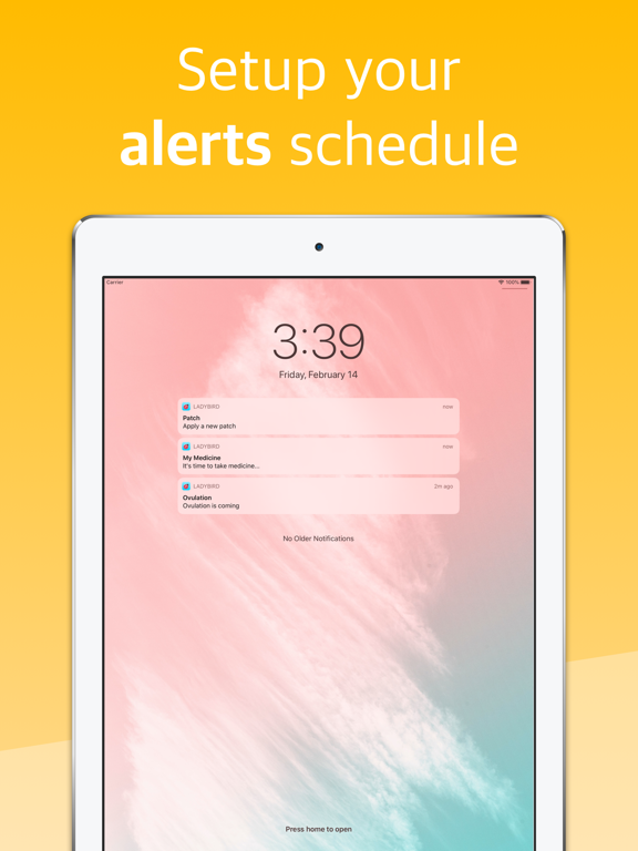 Ladybird - Period Tracker iPad screenshot 7 - Health & Fitness app