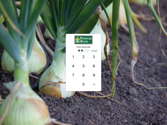 Lyons Peoples Bank iPad screenshot 2 - Finance app