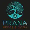 PRANA NEFES VE YOGA problems & troubleshooting and solutions